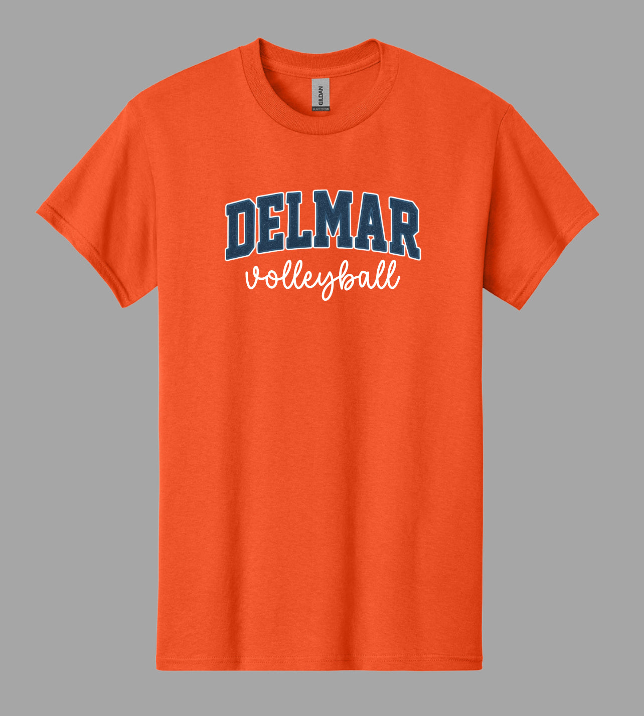 Delmar Volleyball