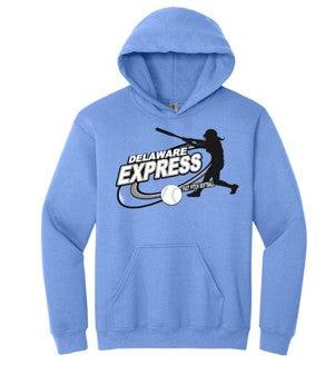 Delaware Express Swing