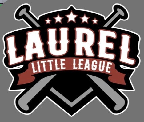 Laurel Little League Team Color Hoodie