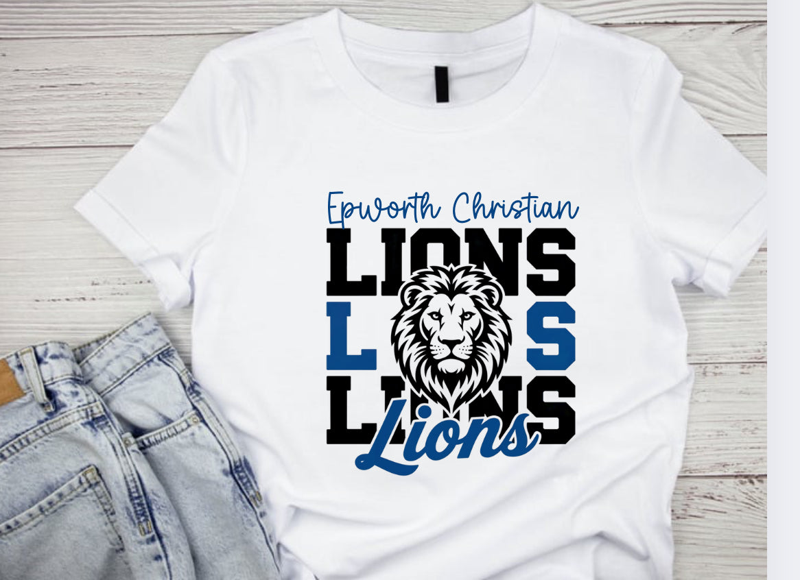 Epworth Christian School Lions 4