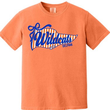 Wildcats Stripped Pennant