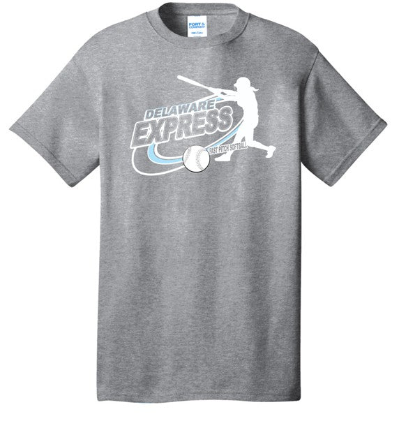 Delaware Express Swing