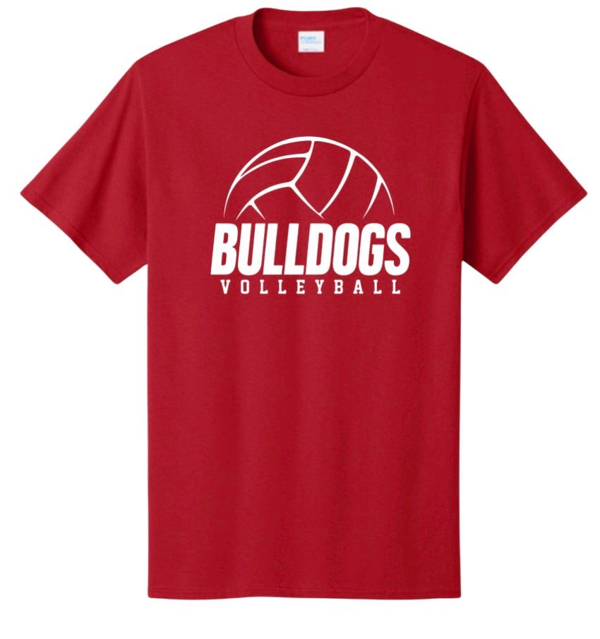 Laurel Volleyball