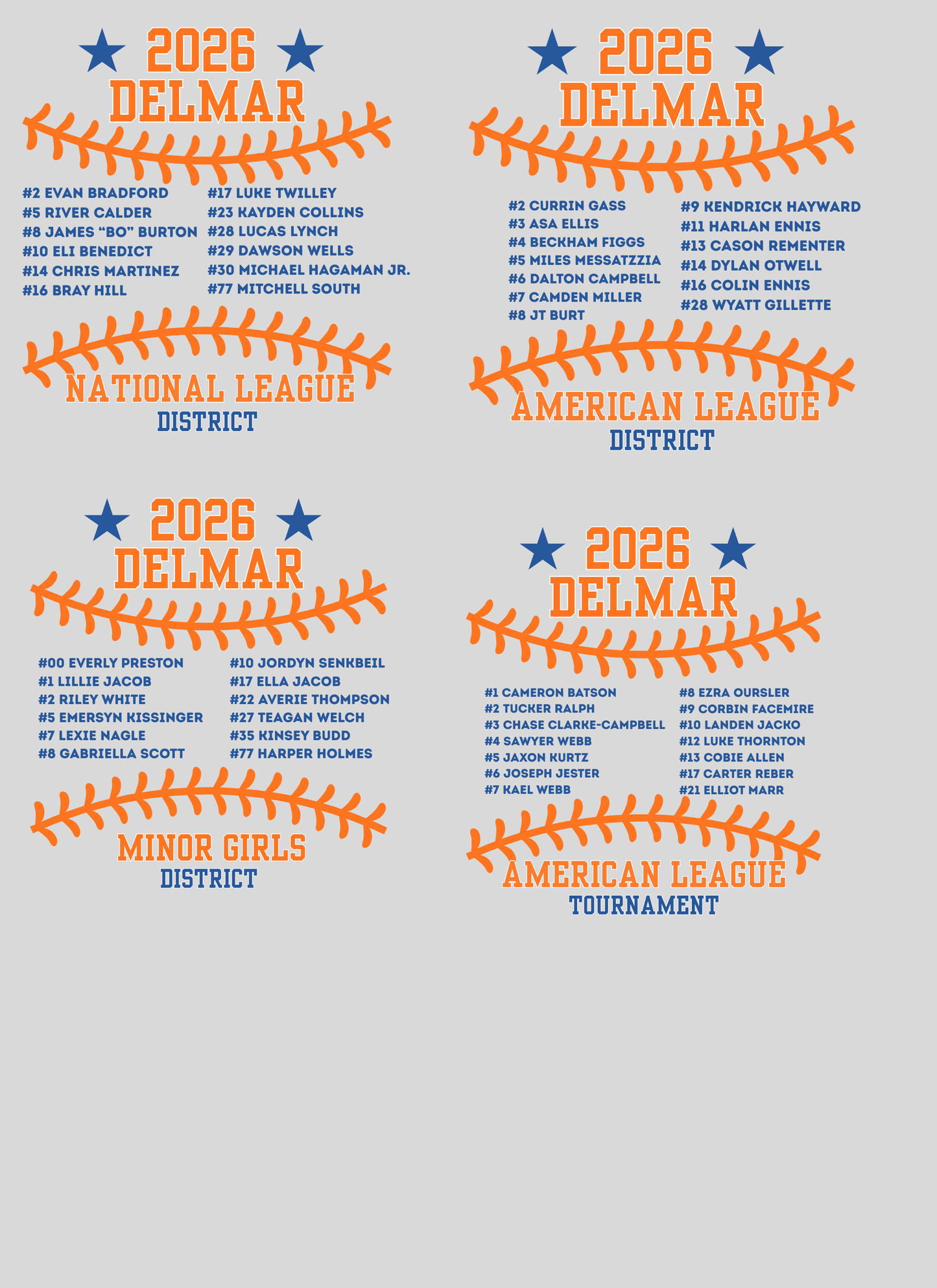 Delmar Little League - 2026 Allstar Fan Shirts