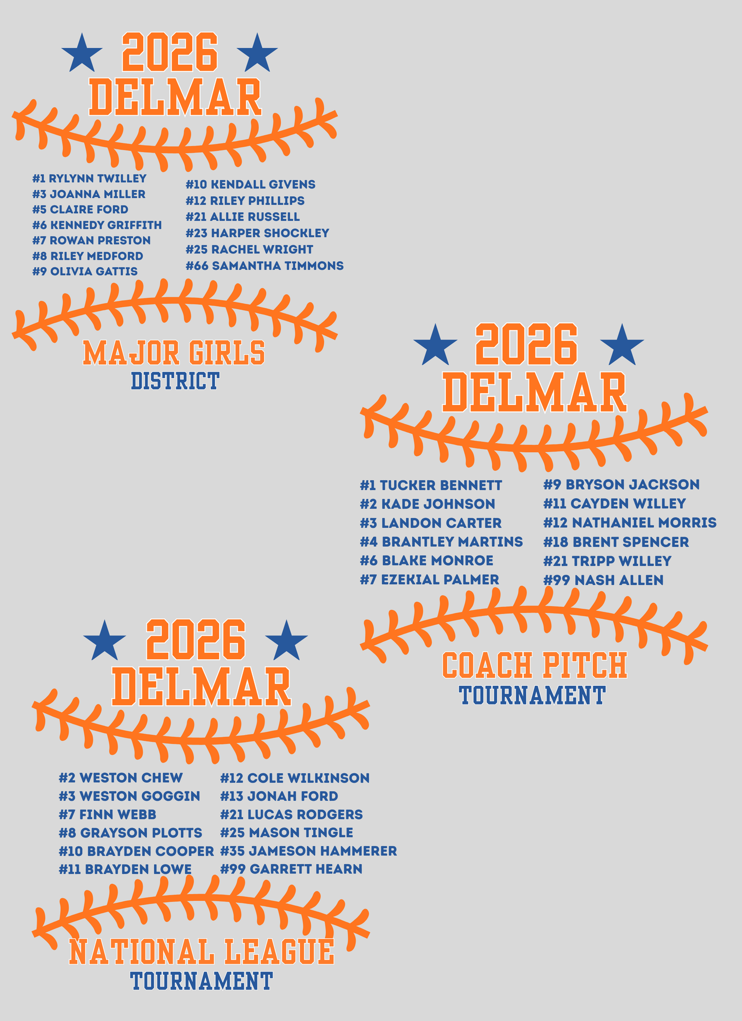Delmar Little League - 2026 Allstar Fan Shirts