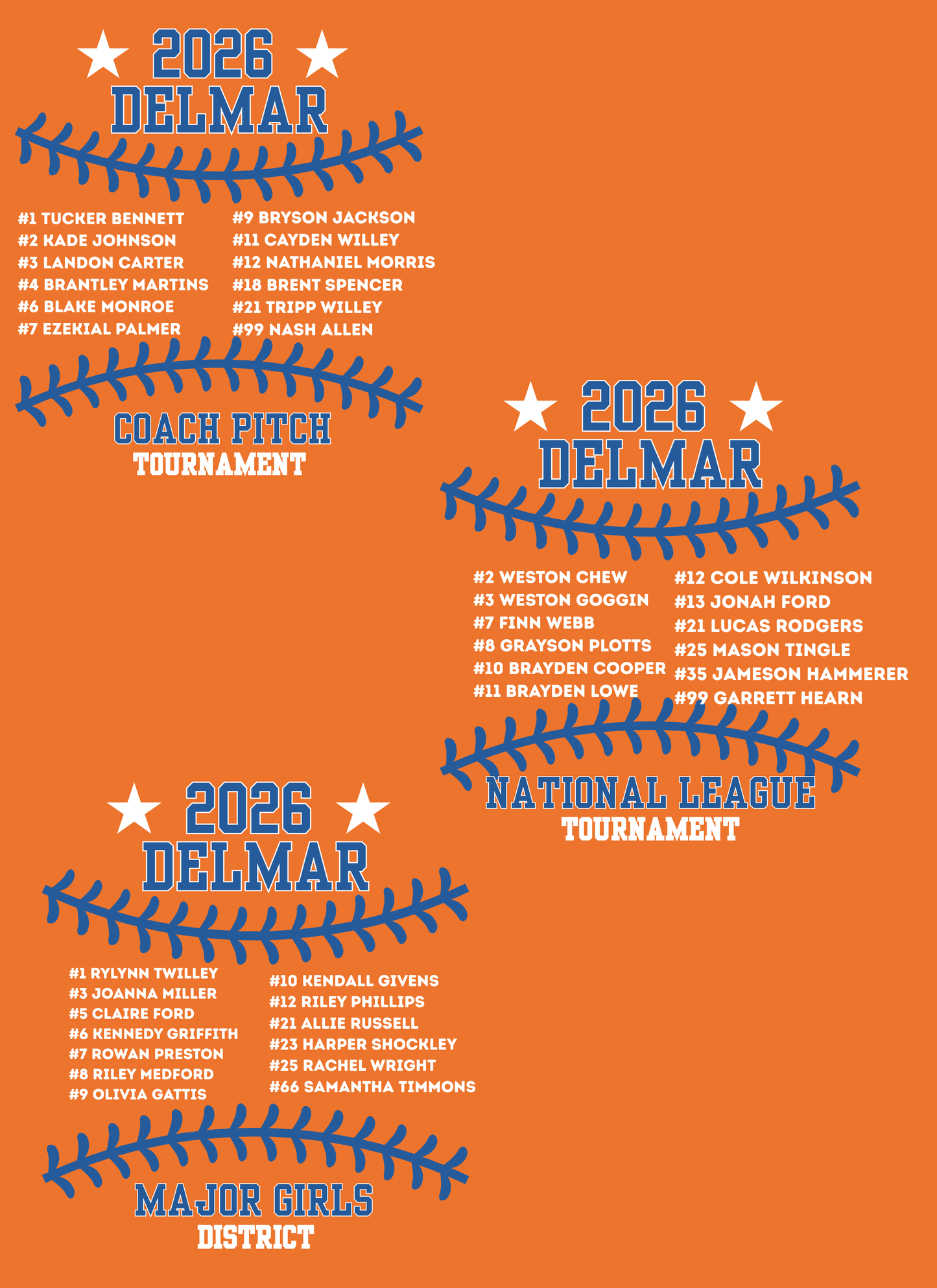 Delmar Little League - 2026 Allstar Fan Shirts