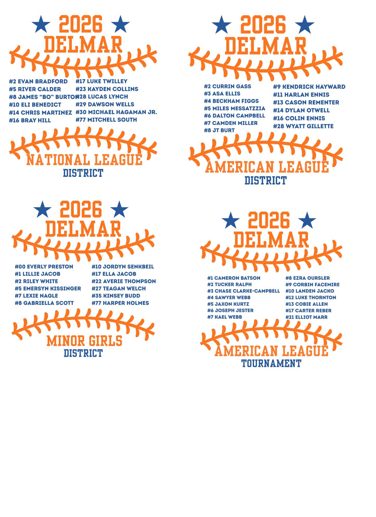 Delmar Little League - 2026 Allstar Fan Shirts