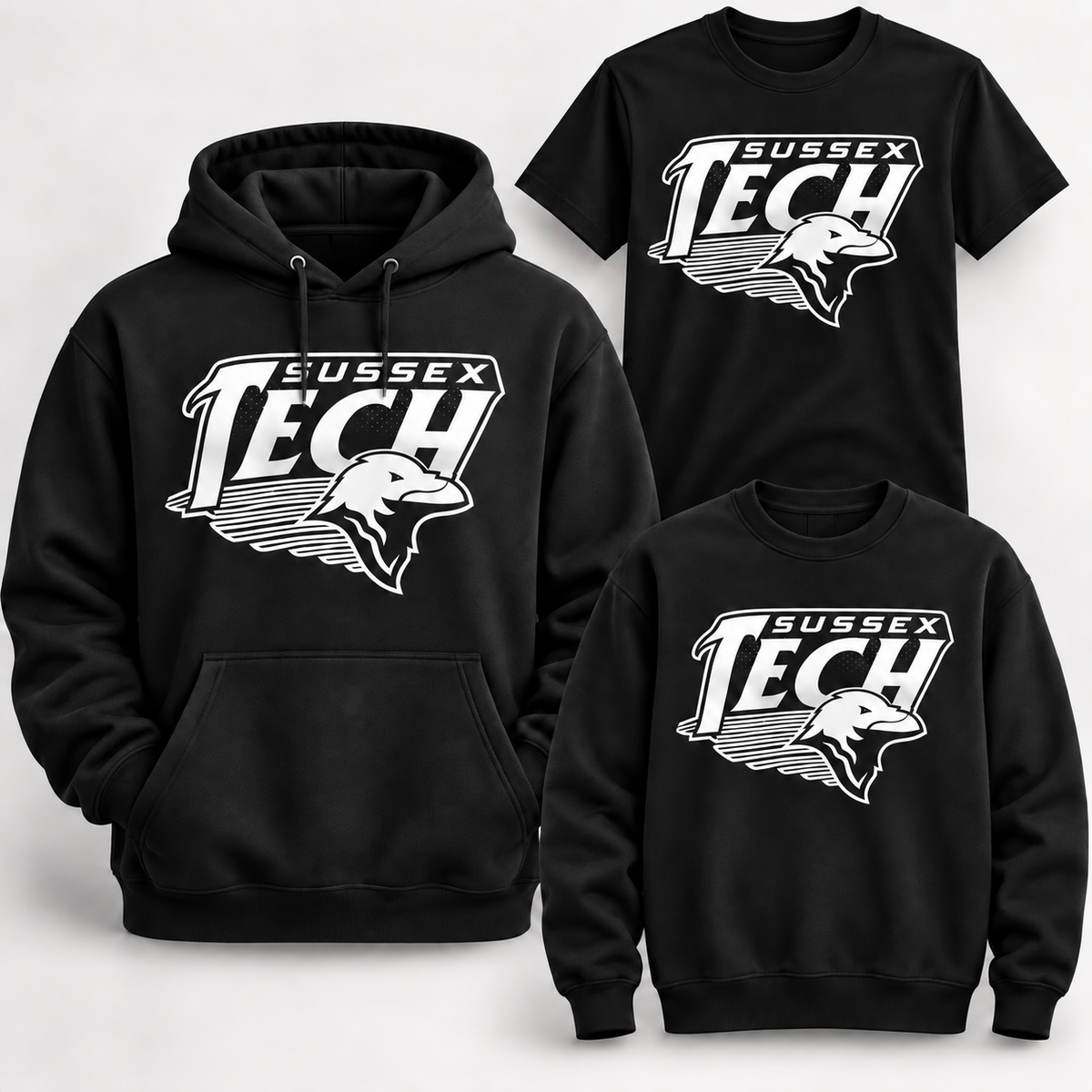 Sussex Tech Ravens