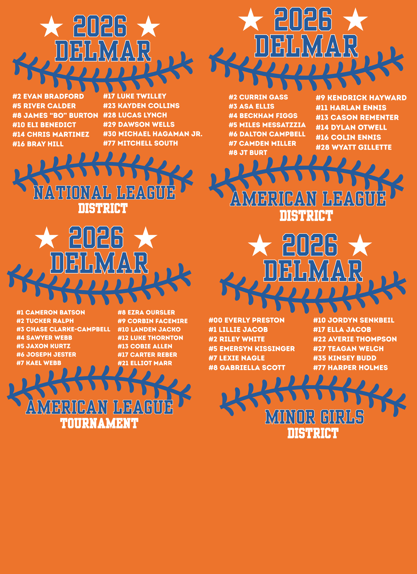 Delmar Little League - 2026 Allstar Fan Shirts