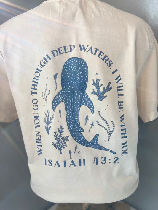 When You Go Through Deep Waters