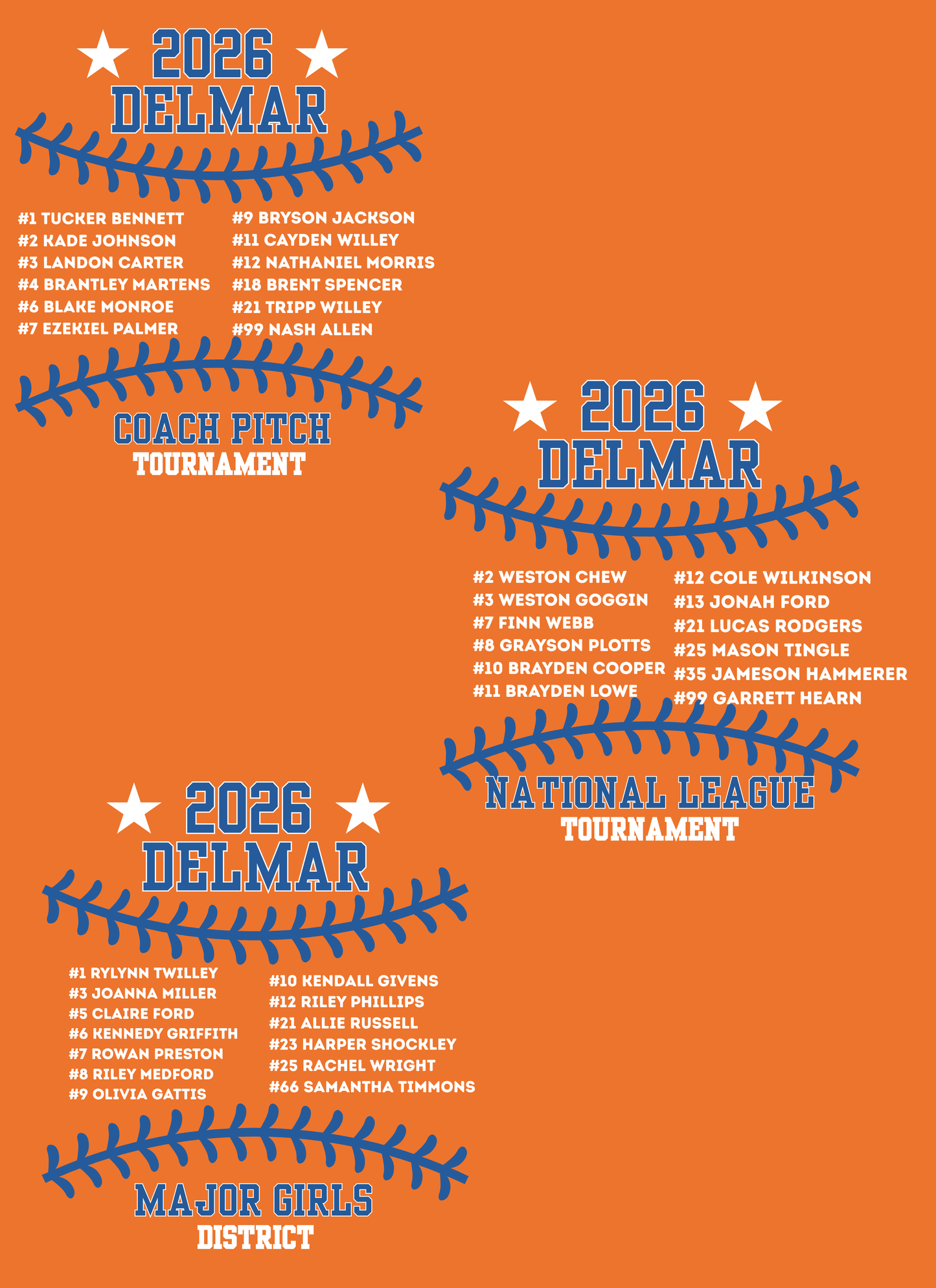 Delmar Little League - 2026 Allstar Fan Shirts