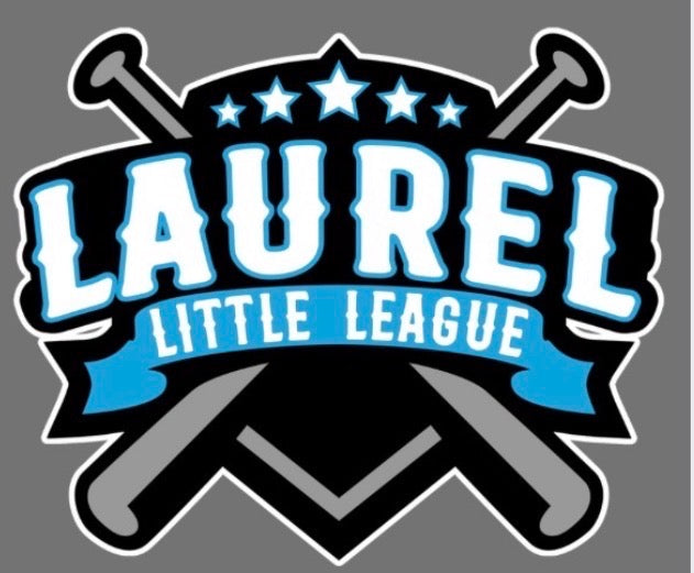Laurel Little League Team Color Hoodie