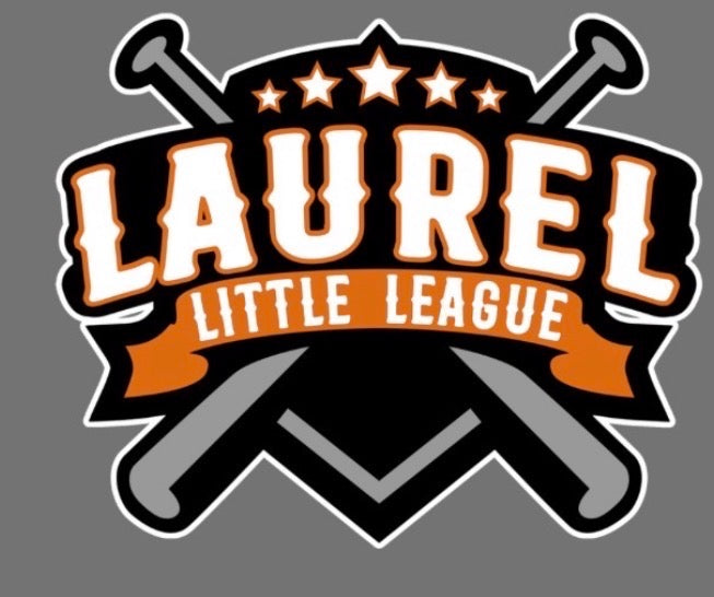 Laurel Little League Team Color Hoodie