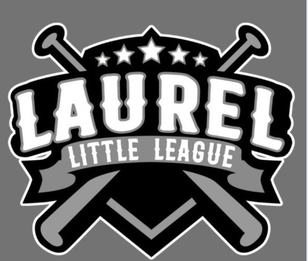Laurel Little League Team Color Hoodie