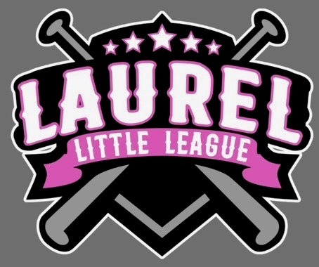 Laurel Little League Team Color Hoodie