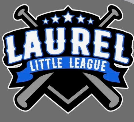 Laurel Little League Team Color Hoodie