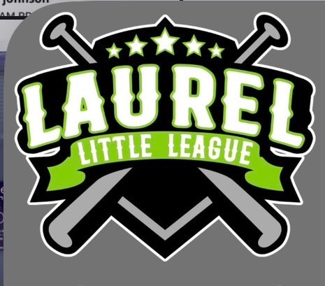 Laurel Little League Team Color Hoodie