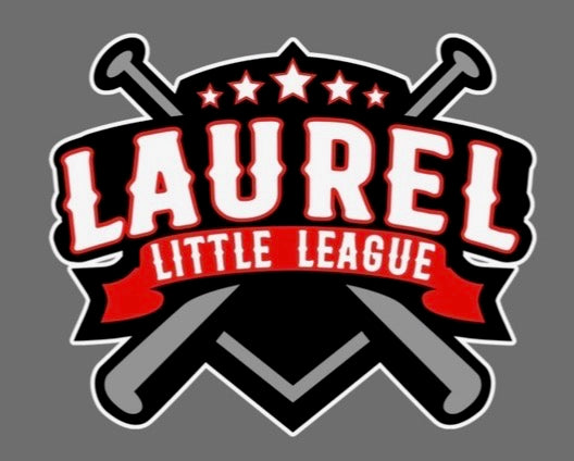 Laurel Little League Team Color Hoodie