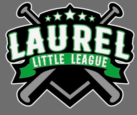 Laurel Little League Team Color Hoodie