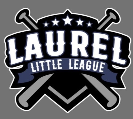 Laurel Little League Team Color Hoodie