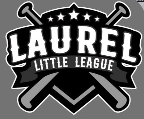 Laurel Little League Team Color Hoodie