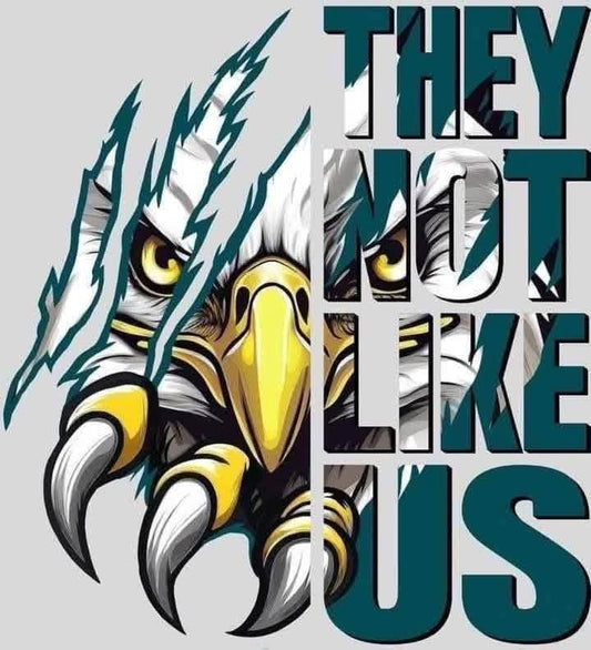 Eagles They Not Like Us 1