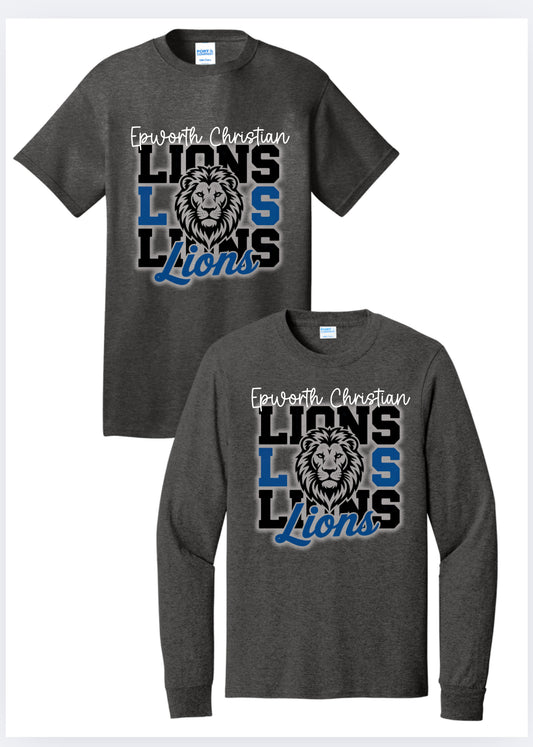 Epworth Christian School Lions 1
