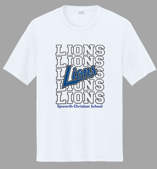 Epworth Christian School Lions 2