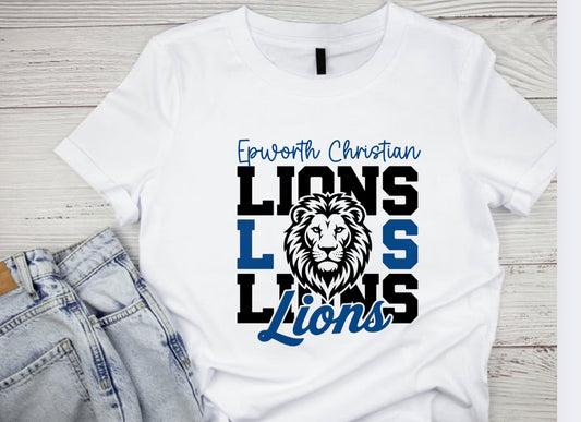 Epworth Christian School Lions 4