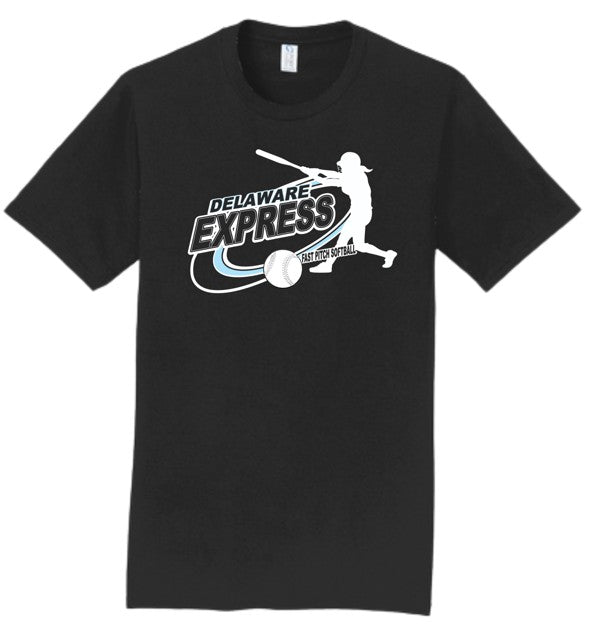 Delaware Express Swing