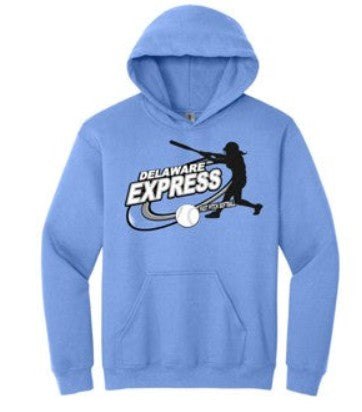 Delaware Express Swing
