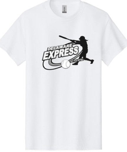 Delaware Express Swing